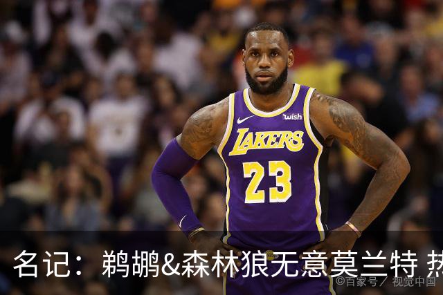 名记：鹈鹕&森林狼无意莫兰特 热火也不急于尝试其与字母哥的搭档
